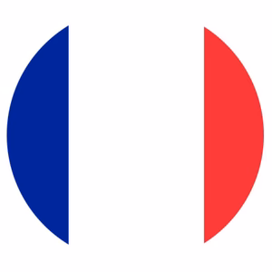 FRANCE flag