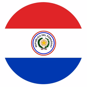 PARAGUAY flag