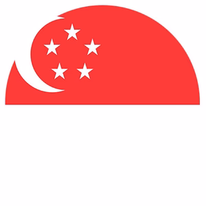 SINGAPORE flag